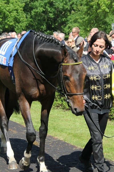 Bult VGH2011   099.jpg